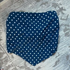 Abercrombie & Fitch Blue and White Polka Dot Top